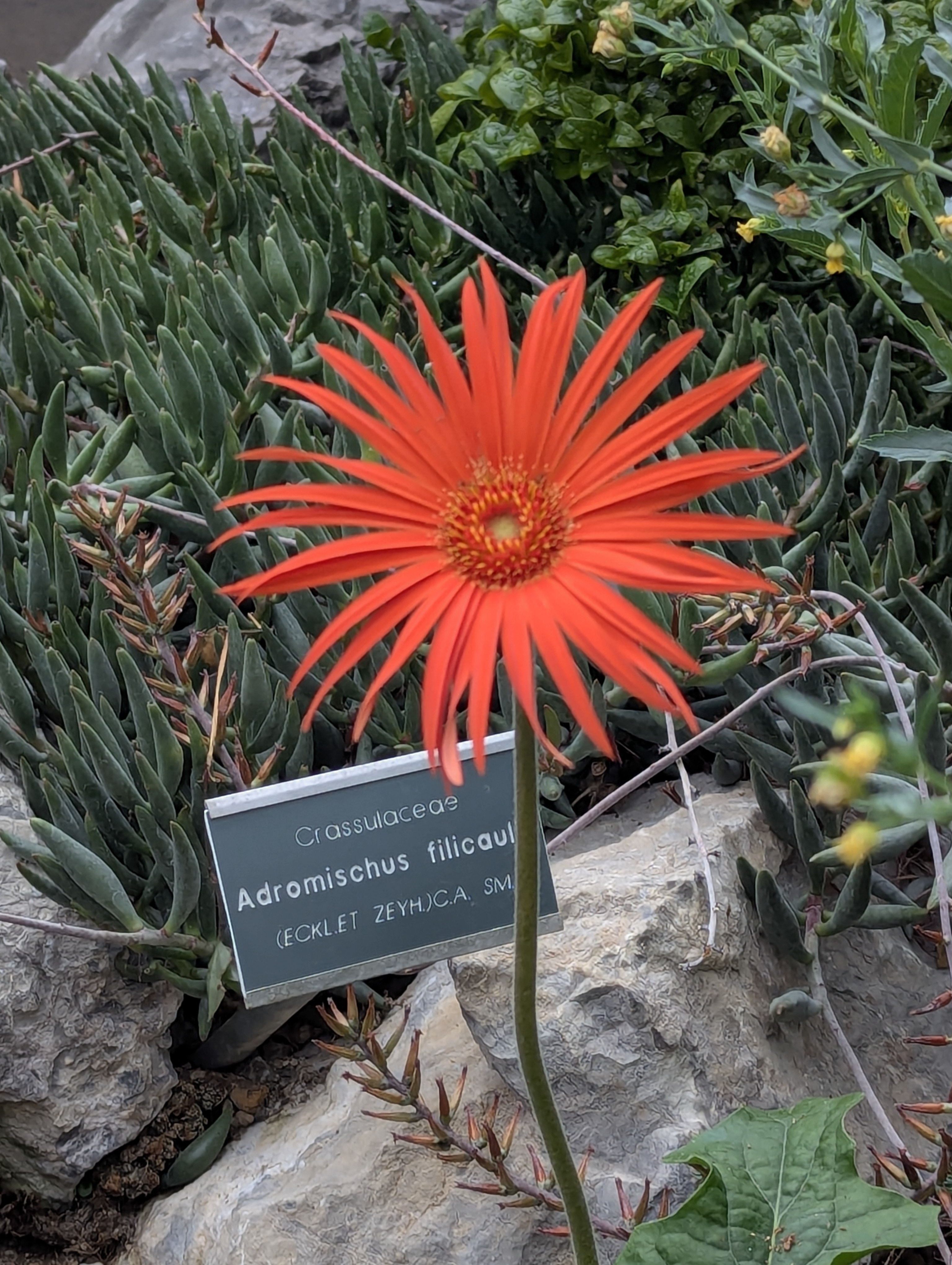 Botonic Gardens, Muenster, Germany